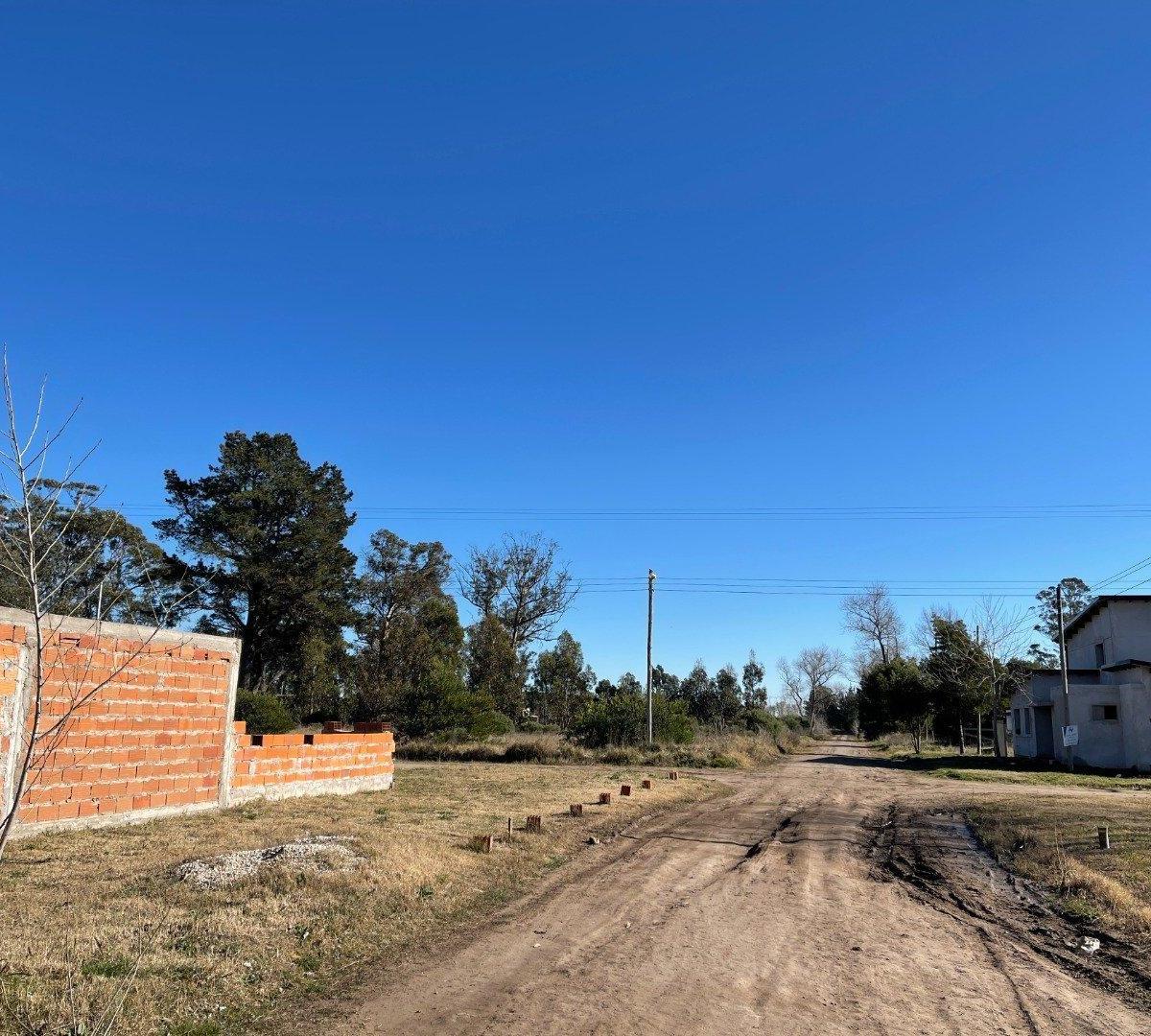 Terreno 2