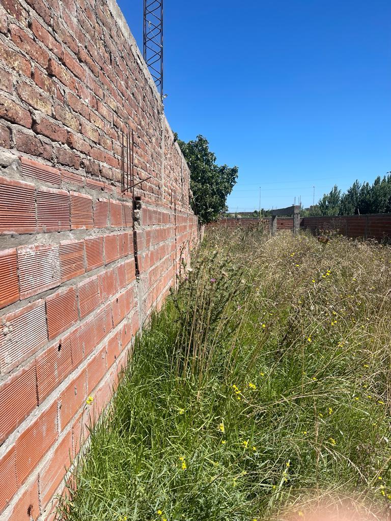 Terreno Necochea Sobre Calle 24 y 51 3