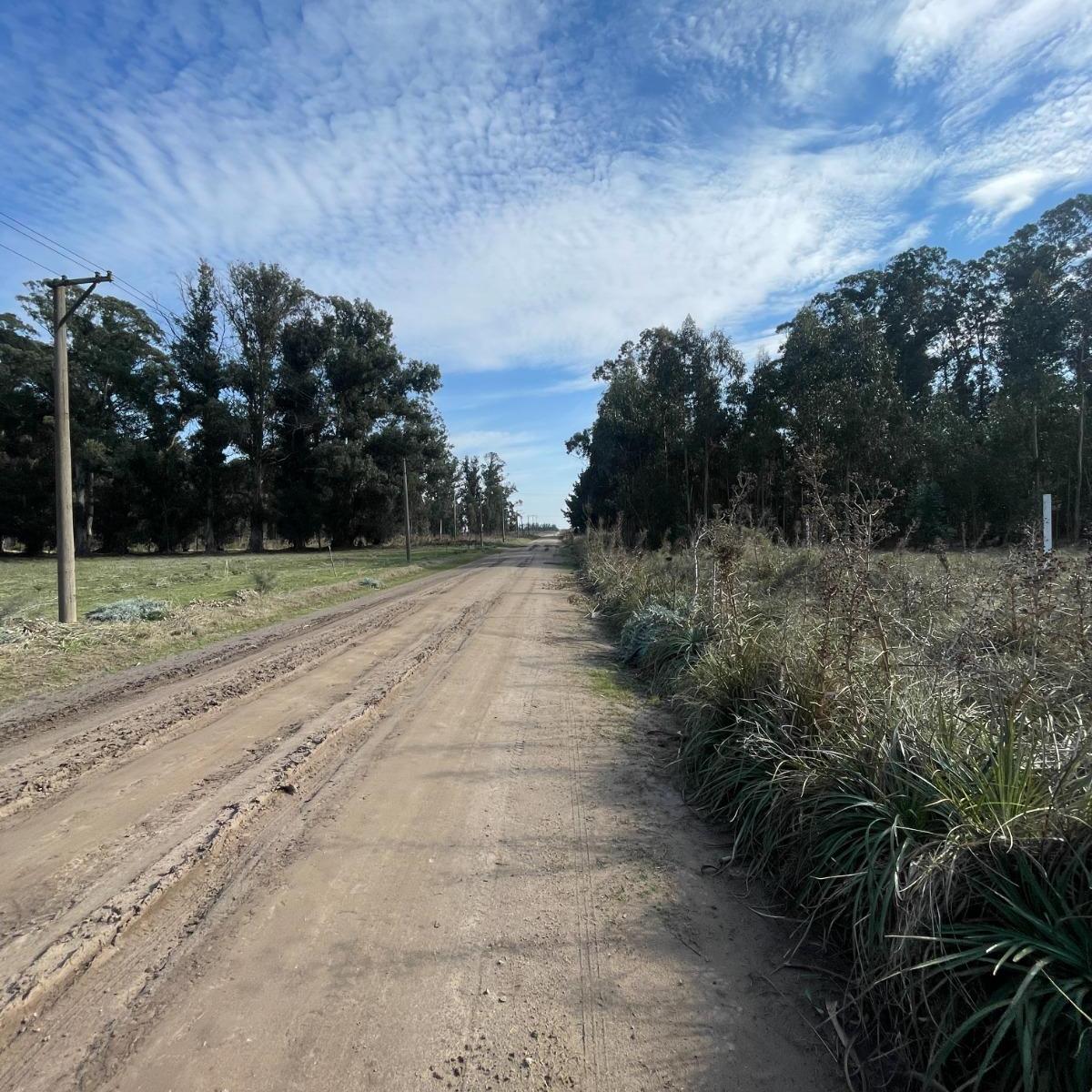 Terreno Sobre Calle 187 y 68 de 500 m² 2