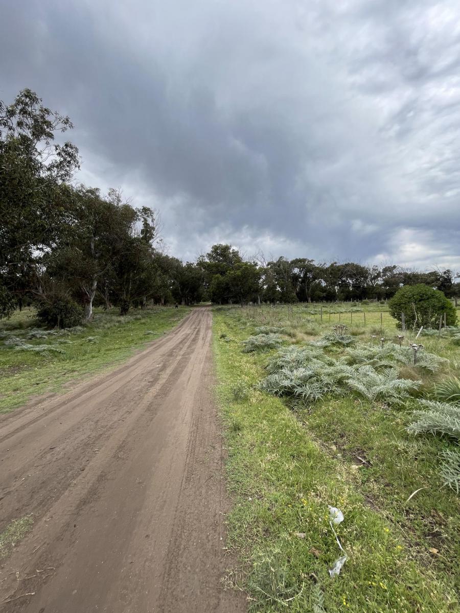 Terreno Sobre Calle 60 Entre 207 y 209 4