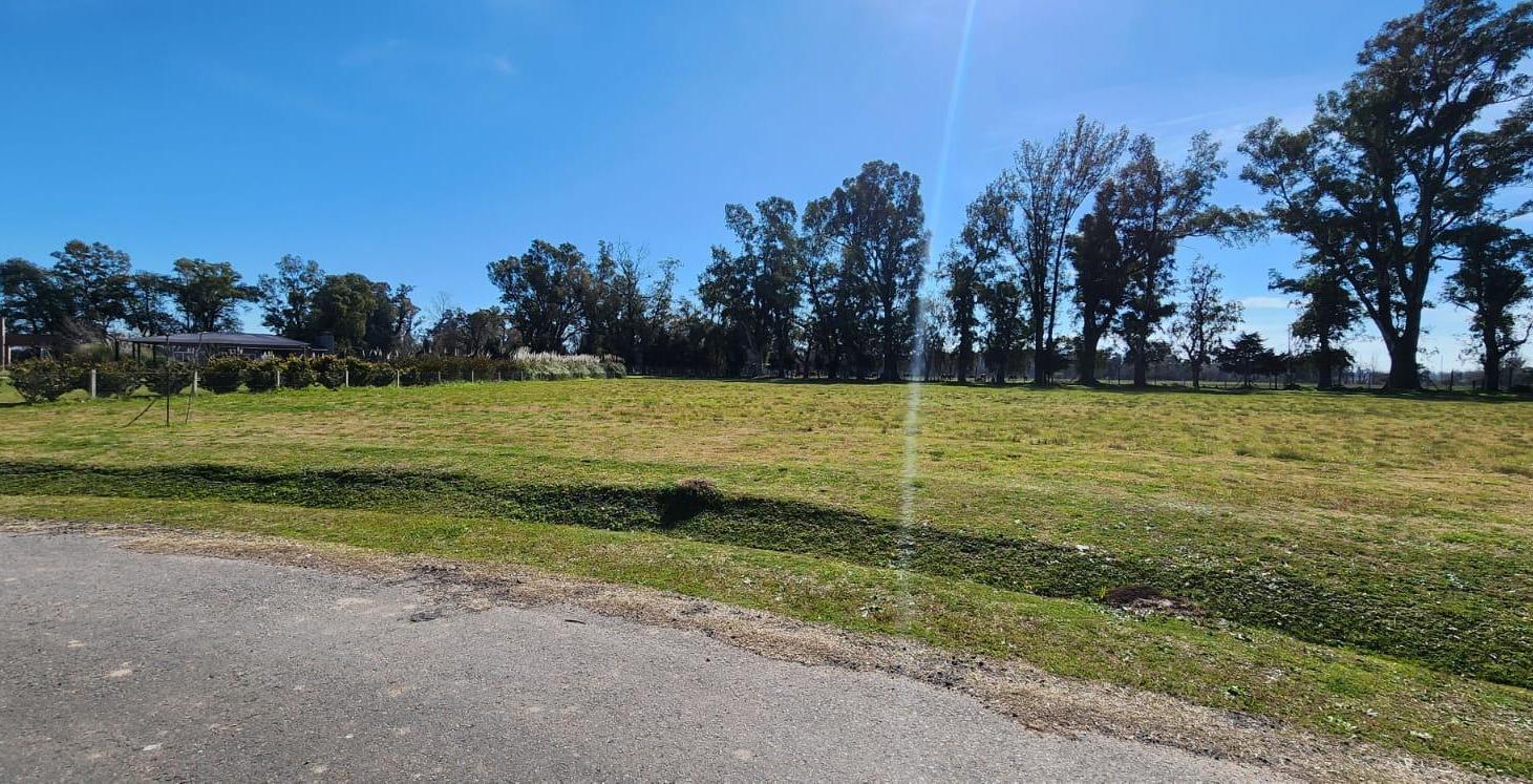 Terreno en venta en El Nacional