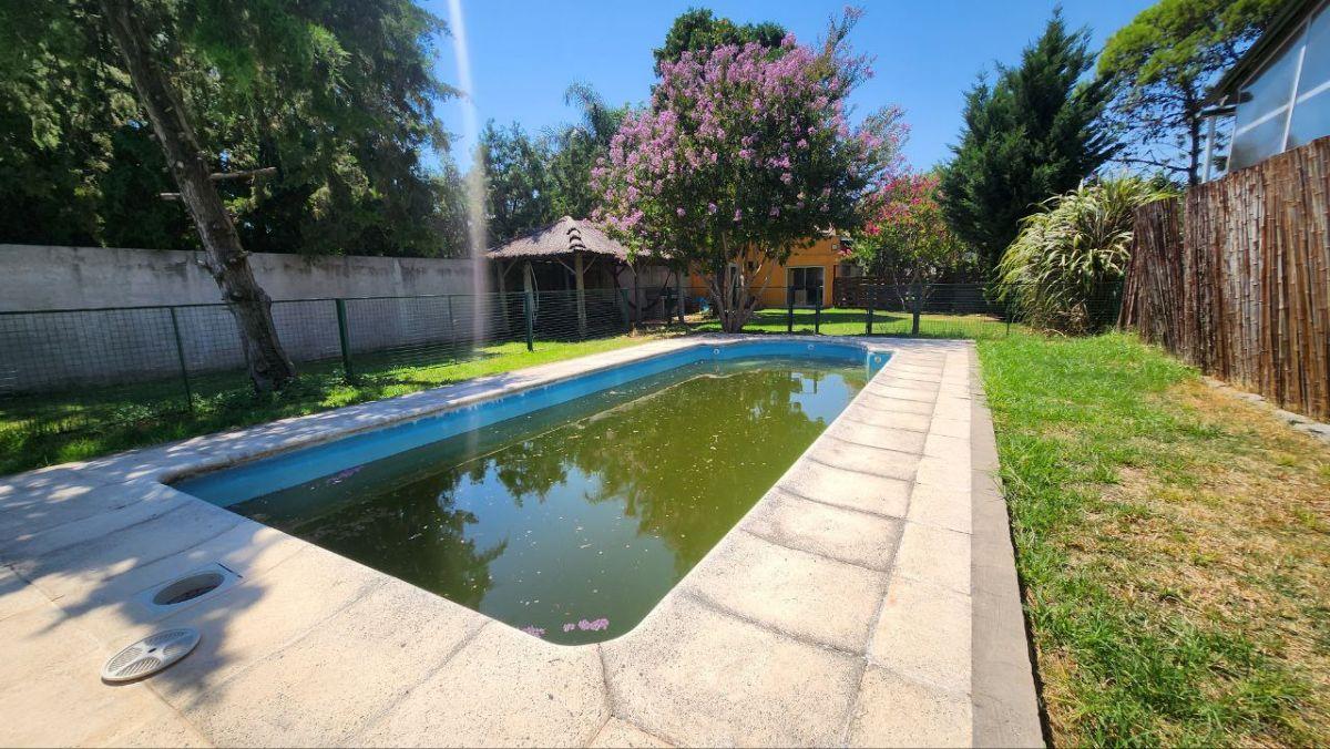 Foto de LOTE DE TERRENO, imagen 4