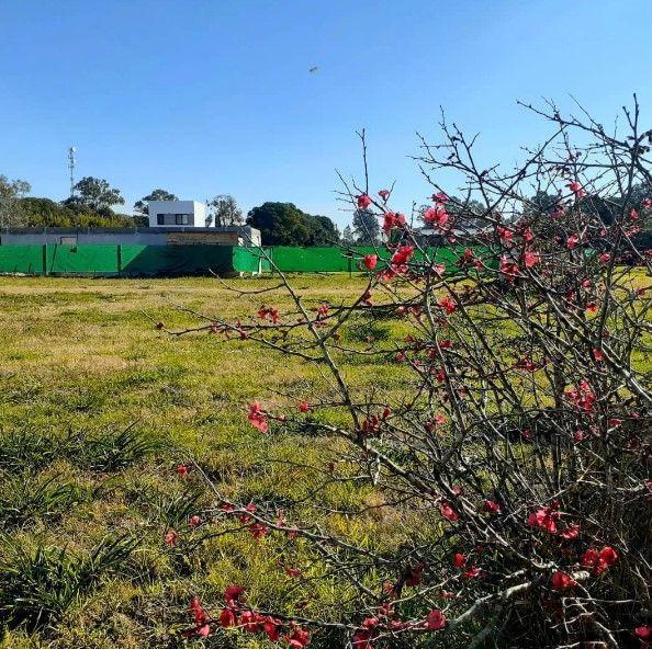 Venta de Lote en Villa Elisa, La Plata 3