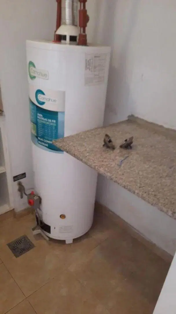 Venta de Departamento de 1 dormitorio, en La Plata 4