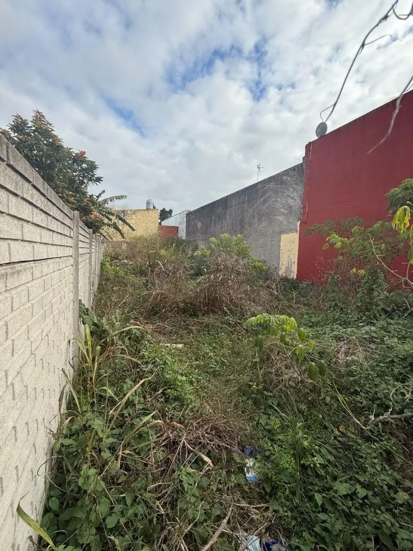 Lote . | calle 31 3