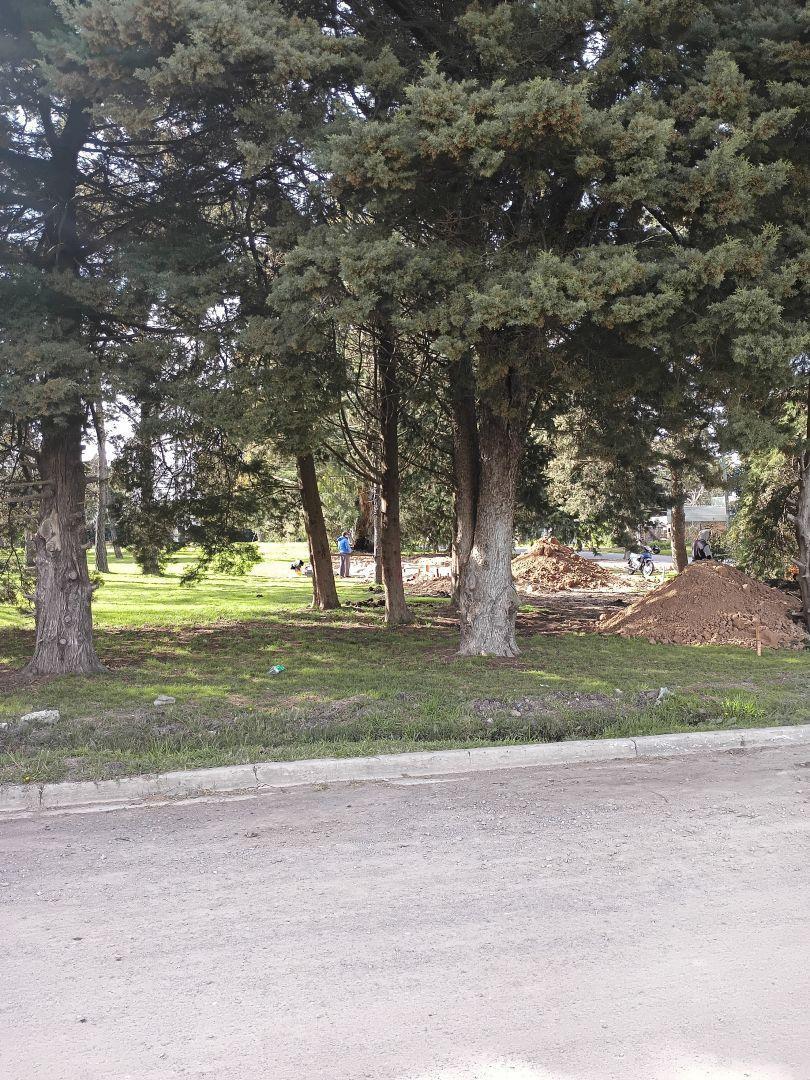 Foto de Venta de Lote en Gorina, La Plata, imagen 4