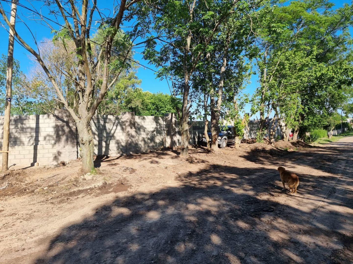 Foto de Venta de Hectáreas en Melchor Romero, La Plata, imagen 5