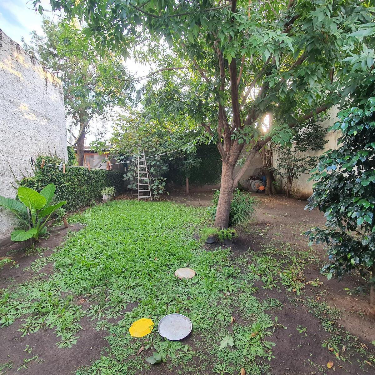 Venta Lote 10x29 con 2 Locales y Garage Pasante 4