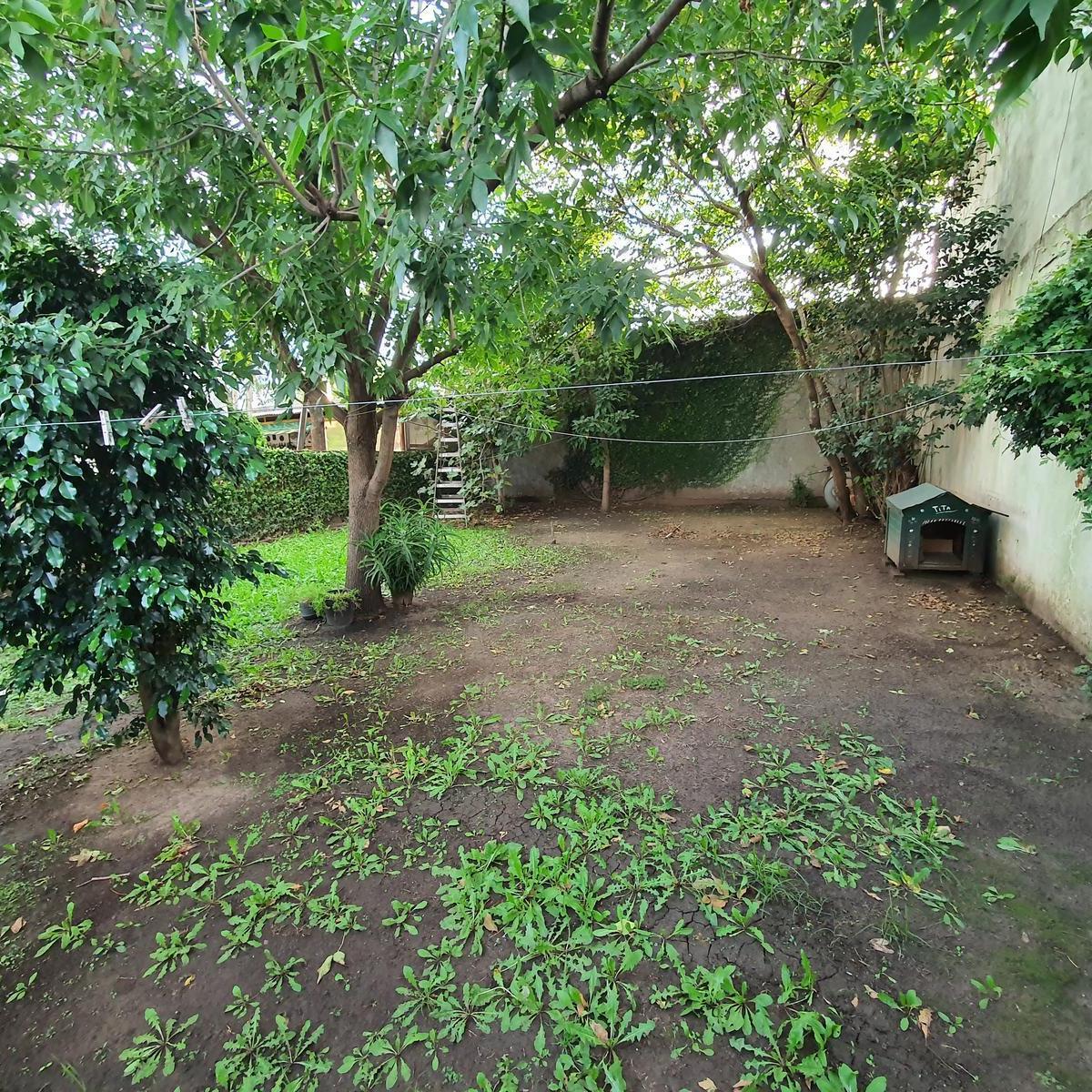 Venta Lote 10x29 con 2 Locales y Garage Pasante 4
