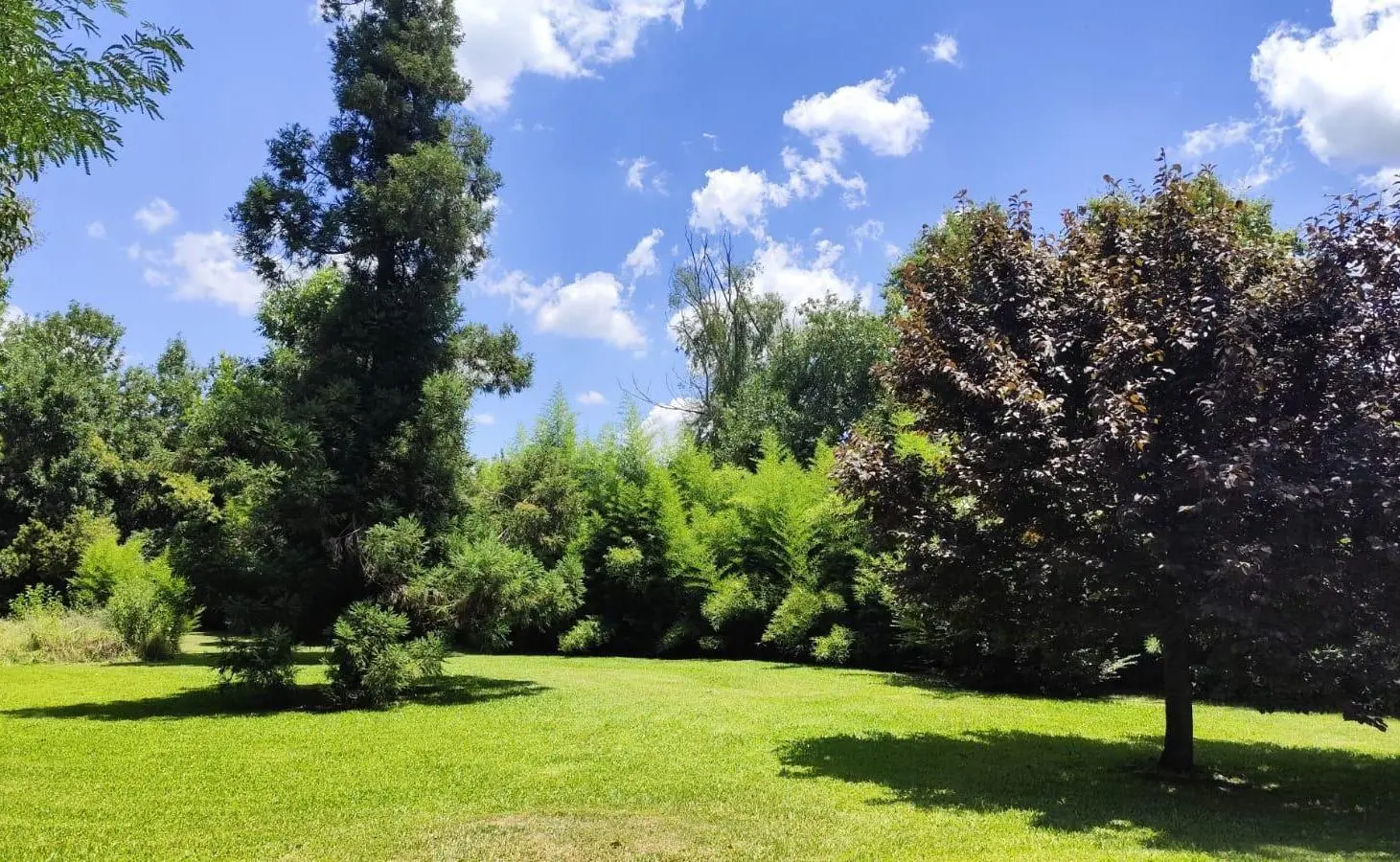 QUINTA EN VENTA EN LOMA VERDE. ESCOBAR 3