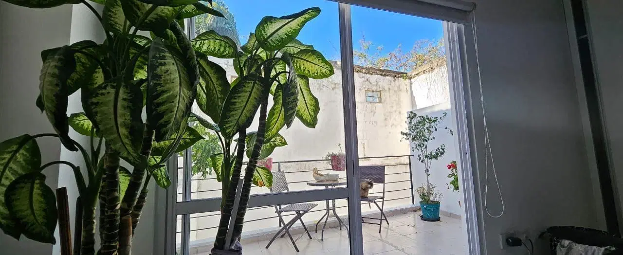 Departamento en Villa Crespo 2