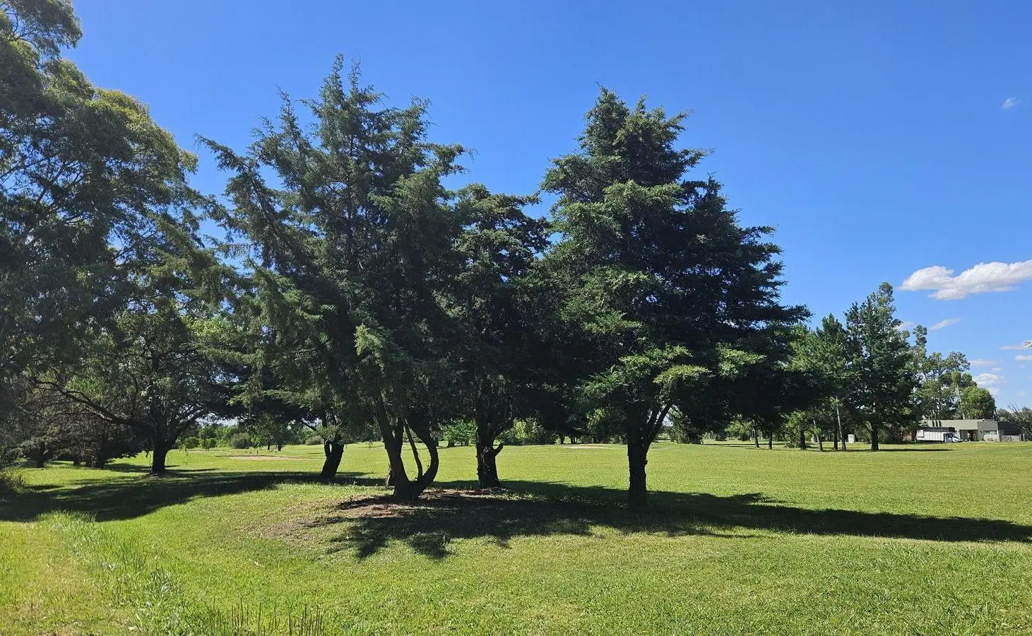Terreno en Pinares Golf & Country Club 2
