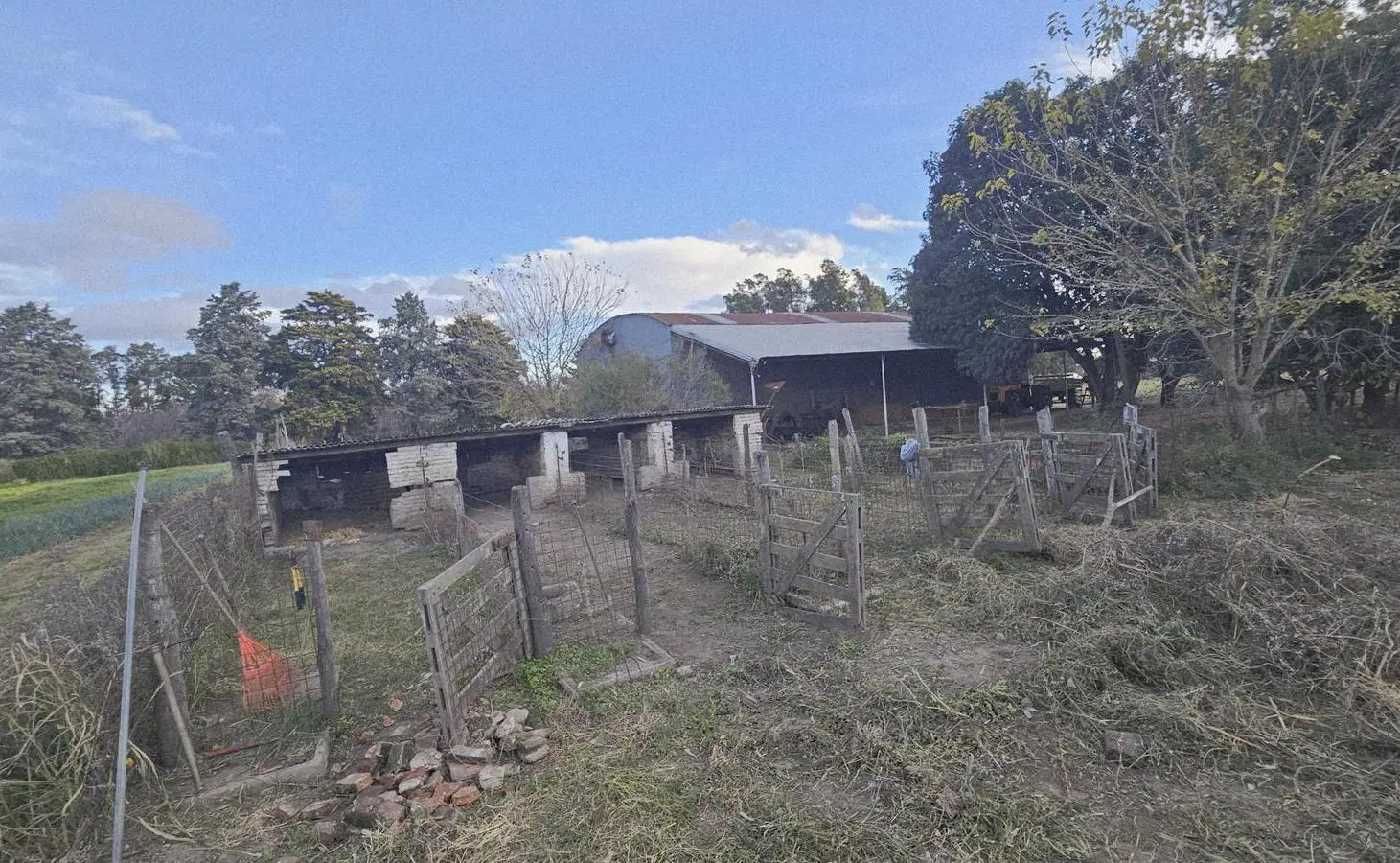 Campo 38 hectáreas sobre Ruta 9 2