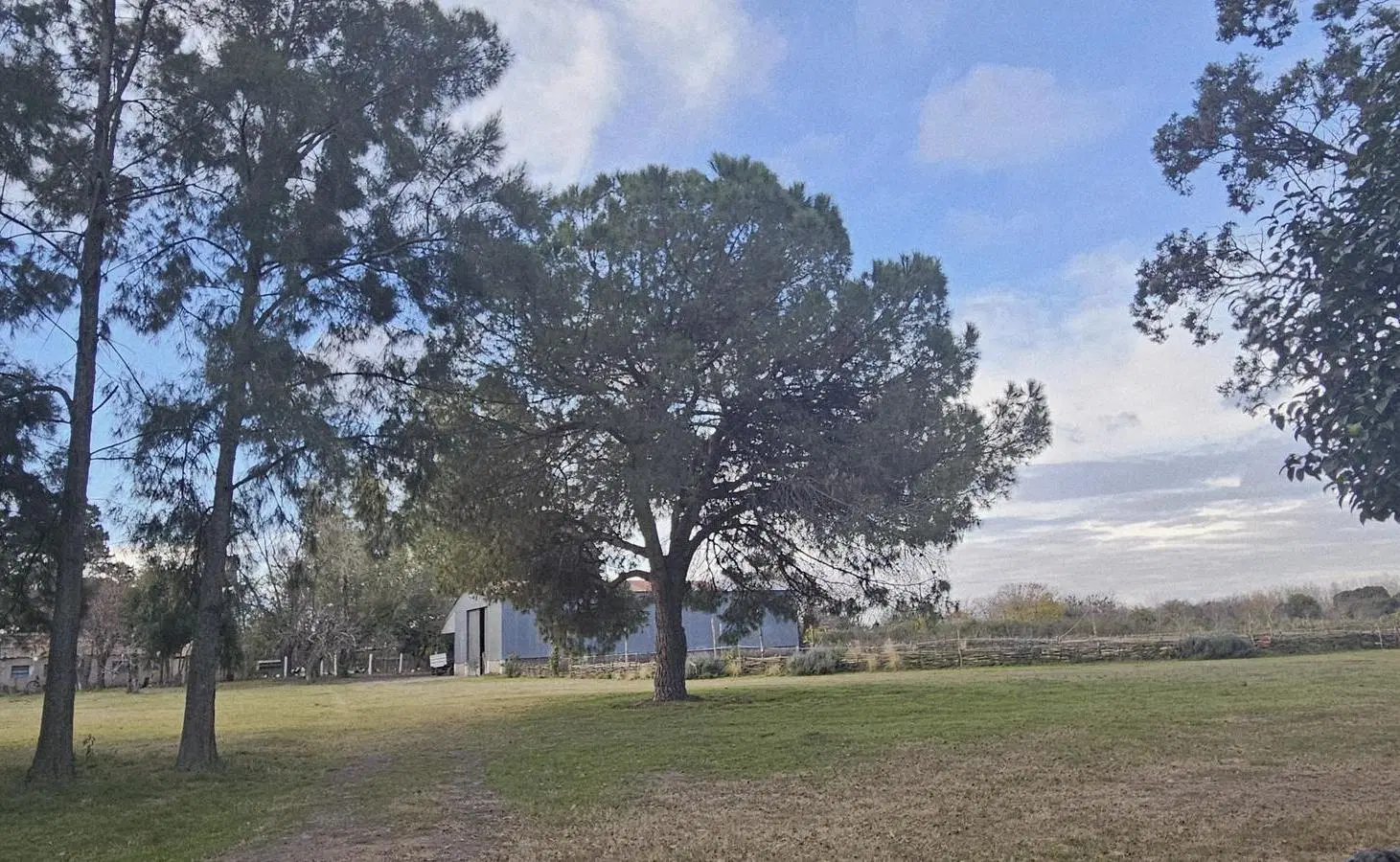 Campo 38 hectáreas sobre Ruta 9 3
