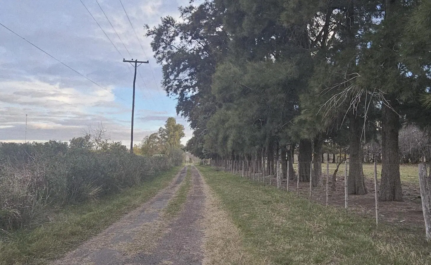 Campo 38 hectáreas sobre Ruta 9 5