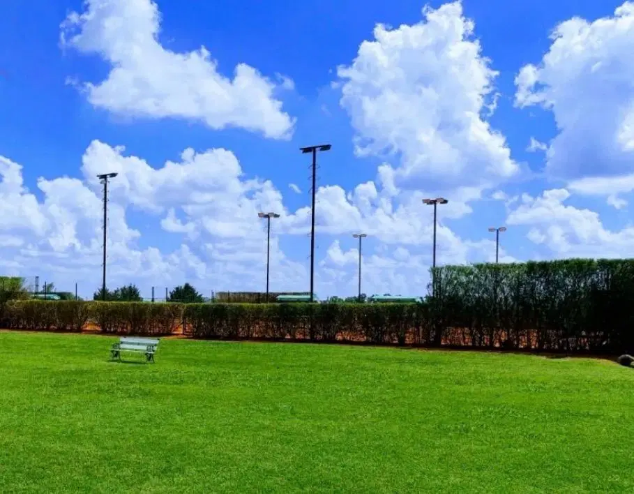 Terreno 8