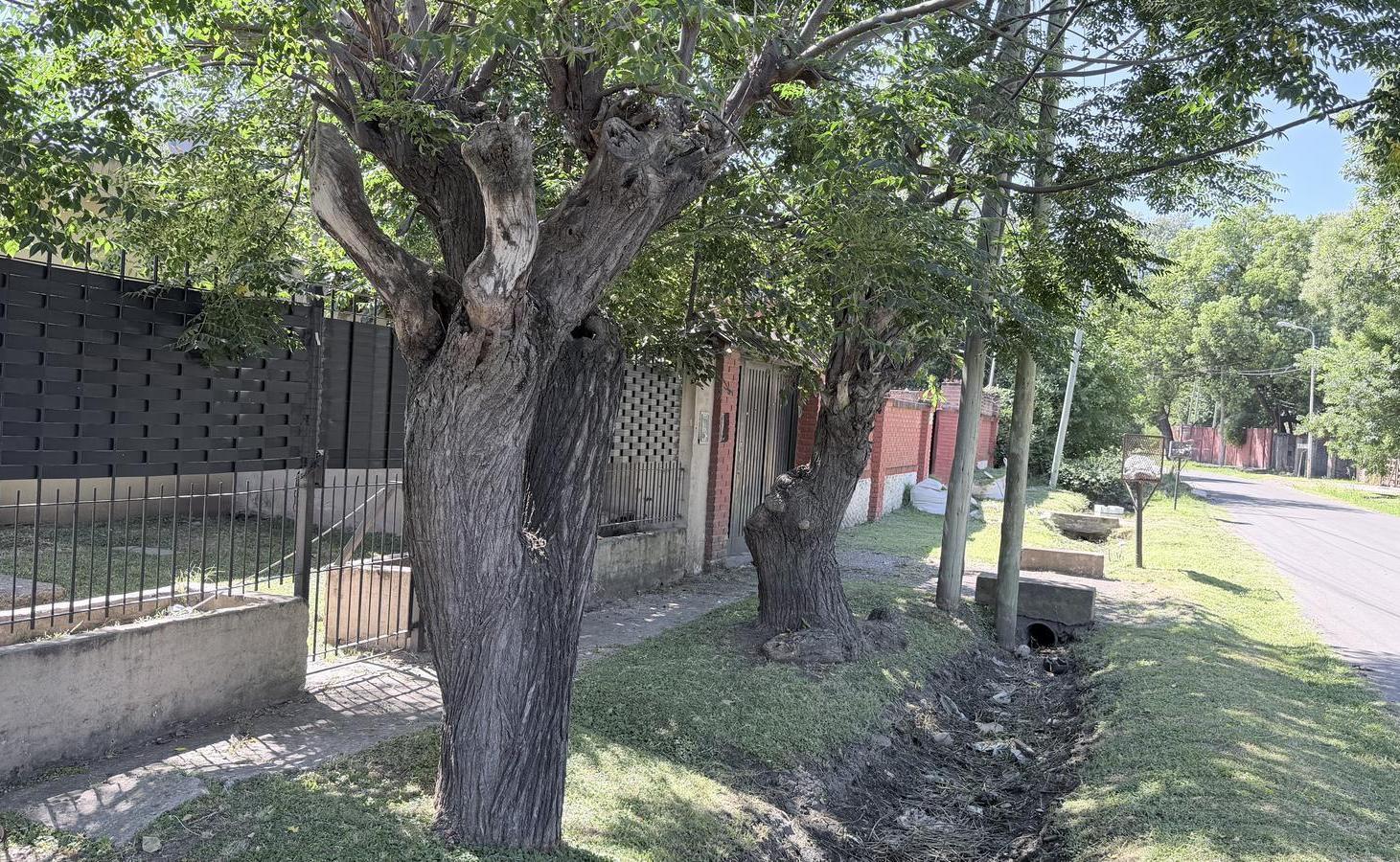 Foto de casa 3 amb sobre loteb de 400m2, imagen 4