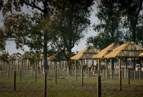 Foto de Terreno en General Rodriguez, imagen 5
