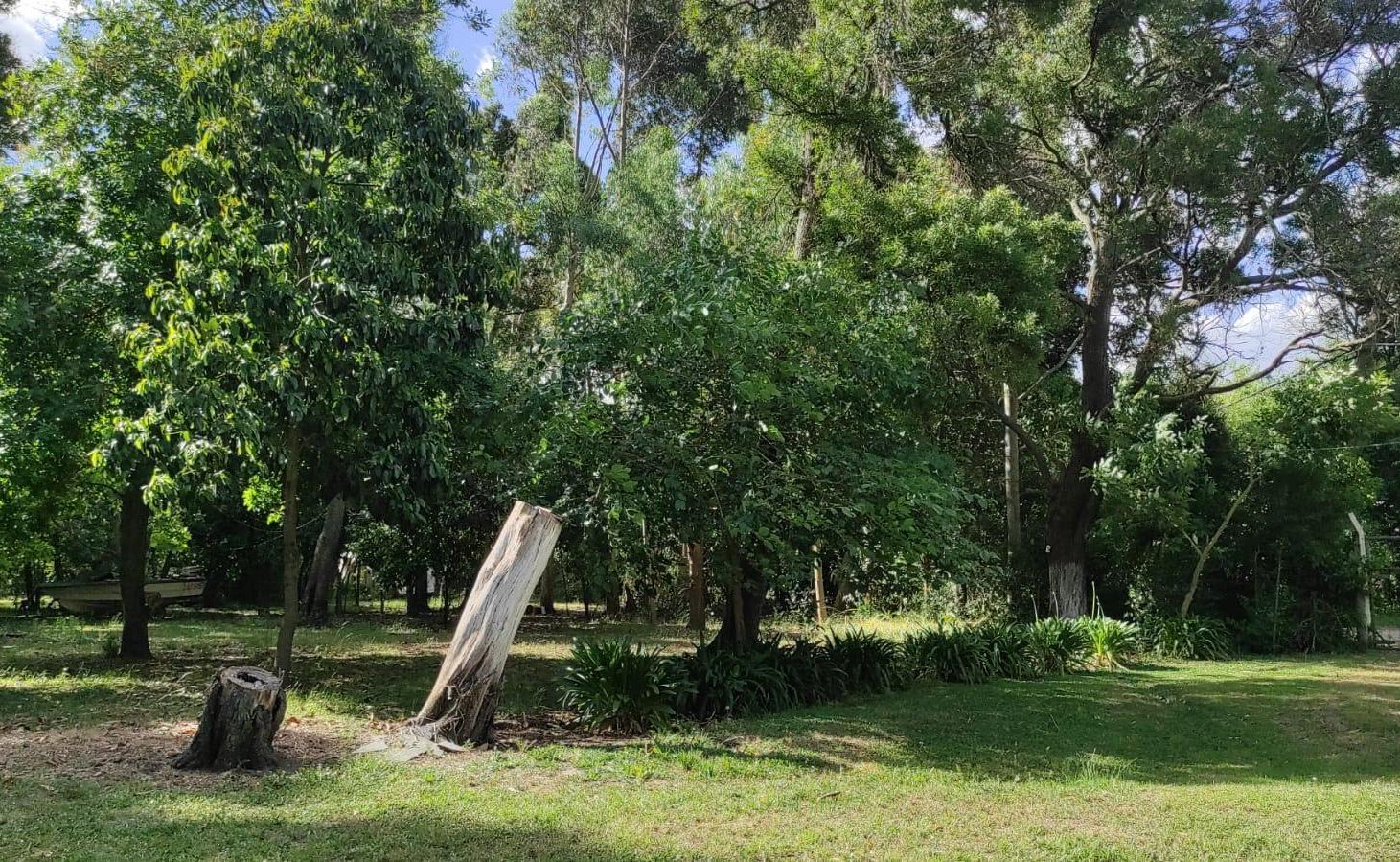 Foto de Venta Chacra Zona Abasto c/ vivienda A/ Emprendimiento, imagen 5