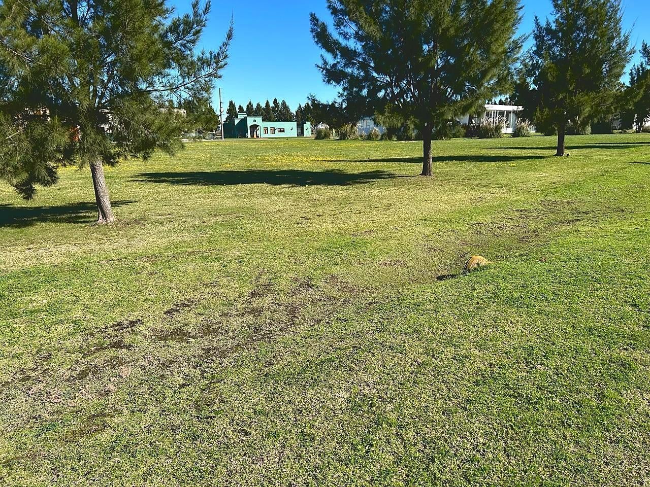 Foto de Venta Lote de 1.979 m en esquina - Fincas de San Vicente - Chacras Golf, imagen 2