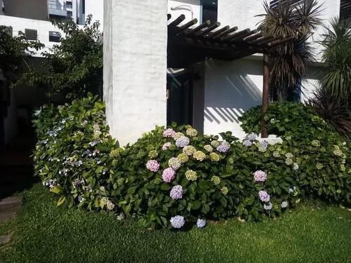 Apartamento - Punta del Este