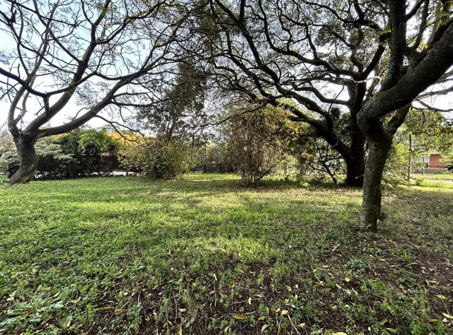 Venta Terreno San jose de Carrasco norte 1