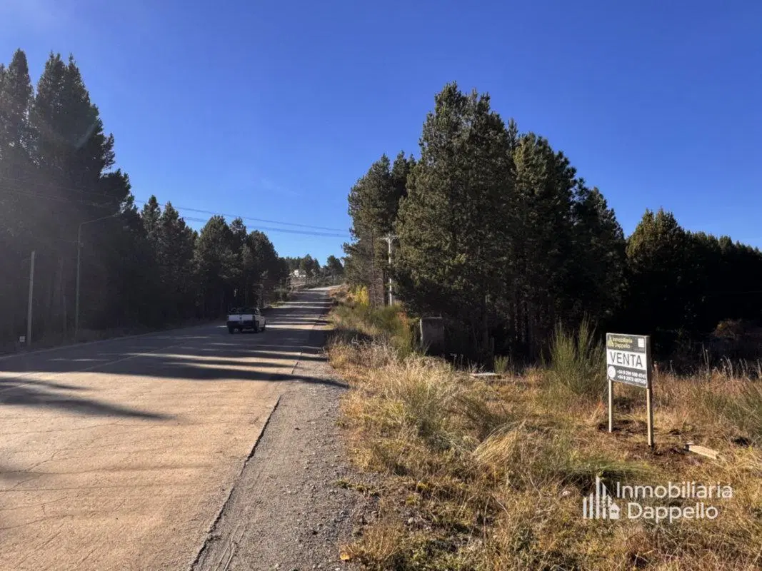 Venta Terreno Comercial Vivienda San Martin de los Andes 5