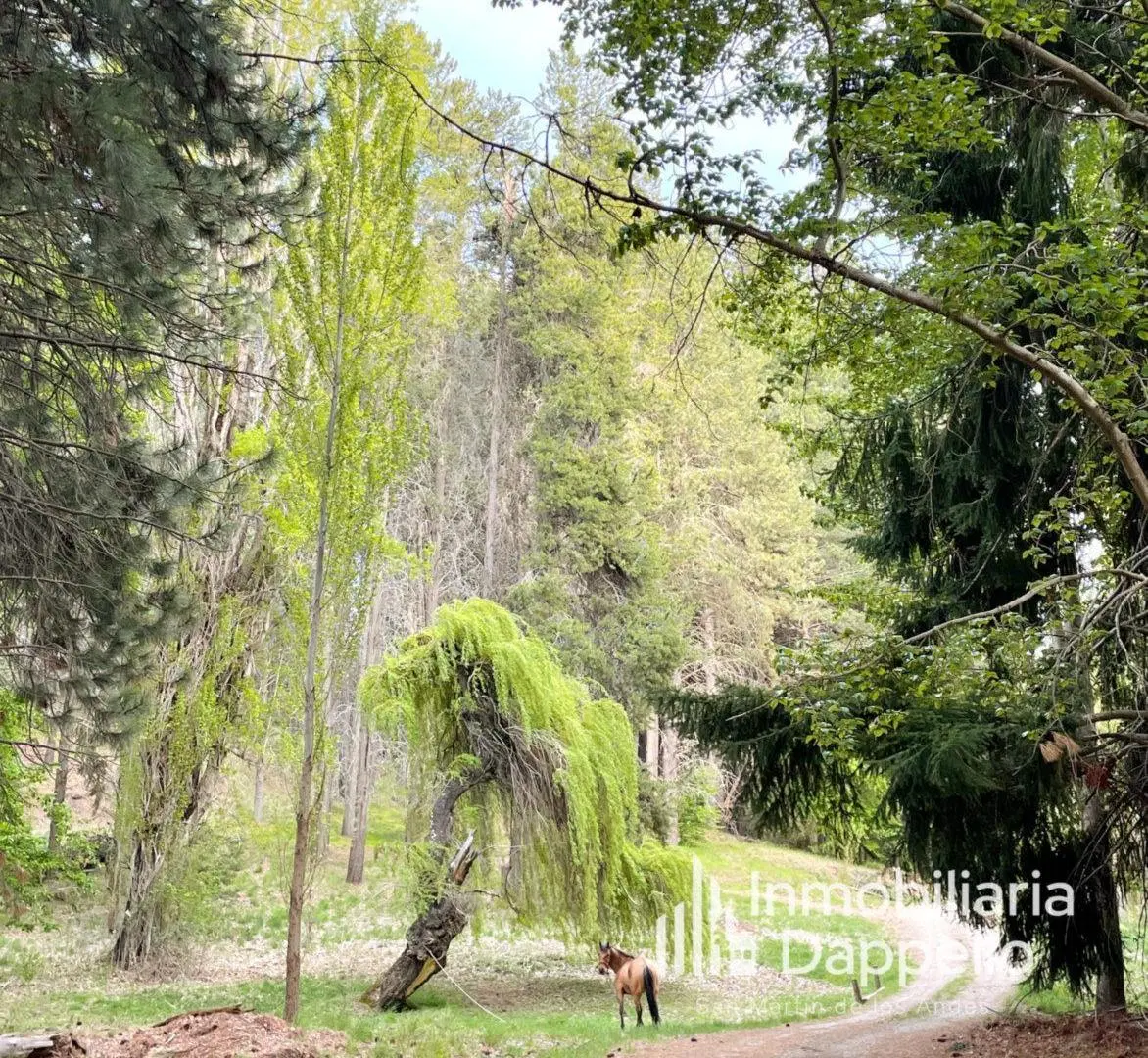 Lote plano en Chapelco Golf 8