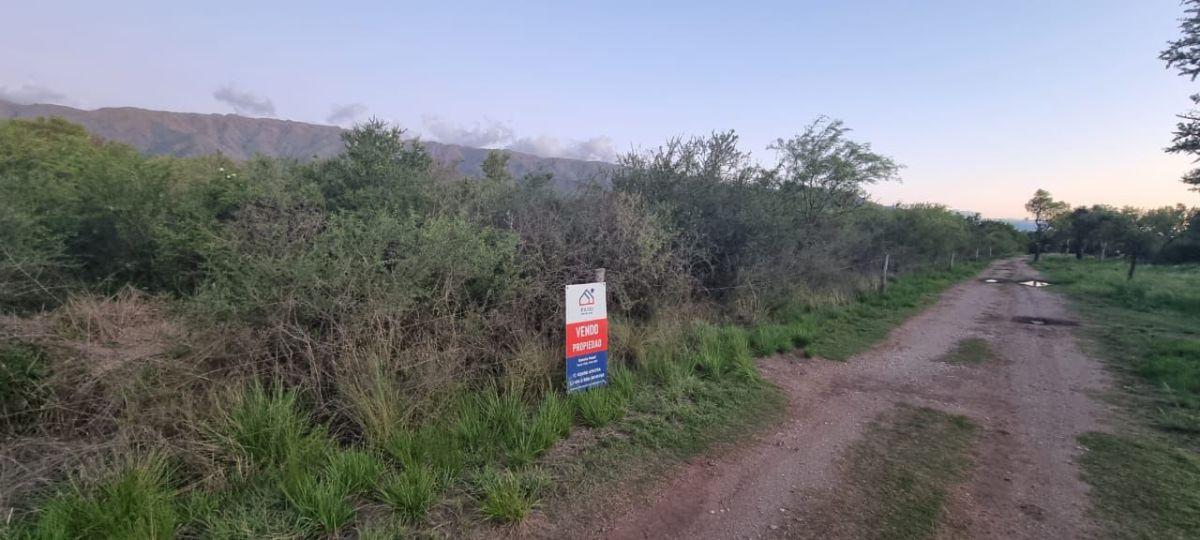 Foto de TERRENO A LA VENTA, imagen 3