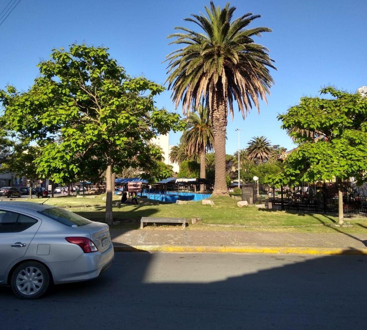 Casa 3 Ambientes. | Calle 85 Al 400 3