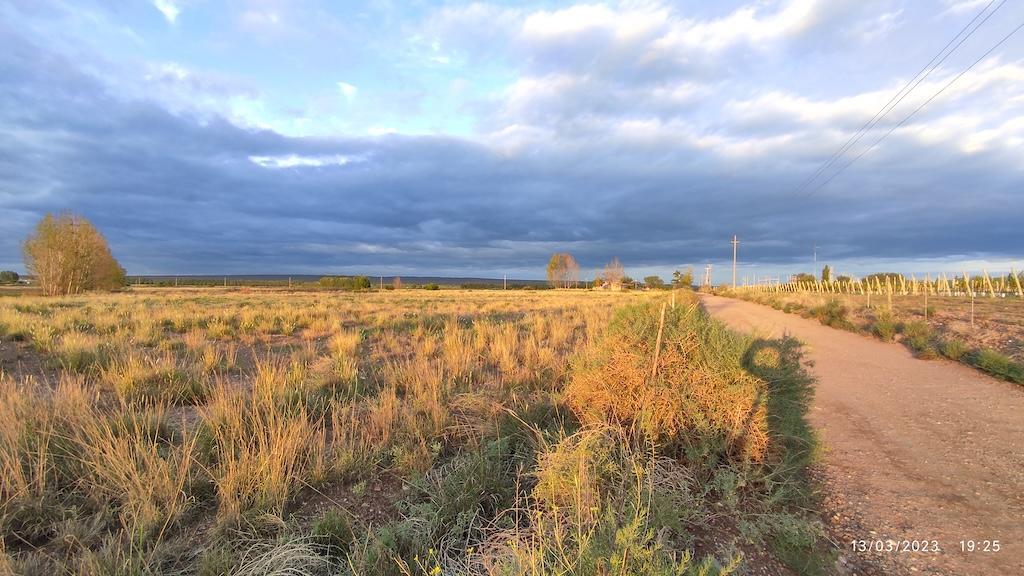 Ugarteche: Finca de 10 Hectáreas Lista Para Producir. 4