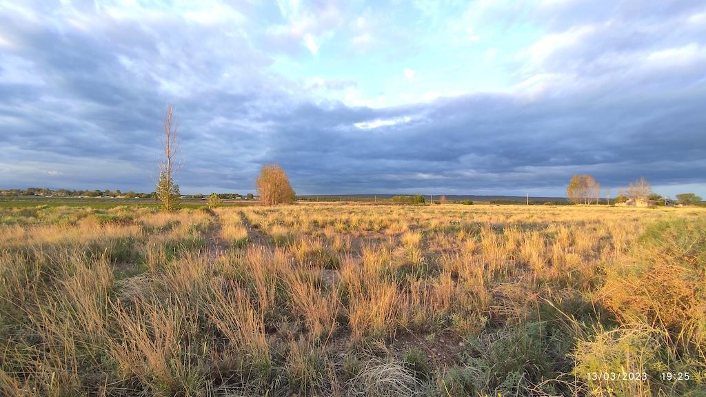 Ugarteche: Finca de 10 Hectáreas Lista Para Producir. 2