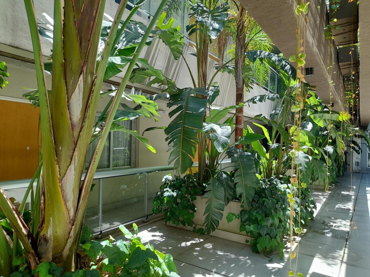 2 Ambientes a Estrenar, Edificio con Amenities. 2