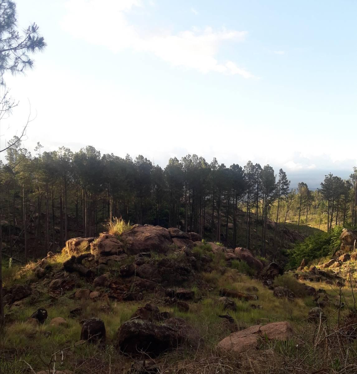 Retasado Campo de Montaña con 400 + m Costa de Río, en San Miguel de Los Ríos 5