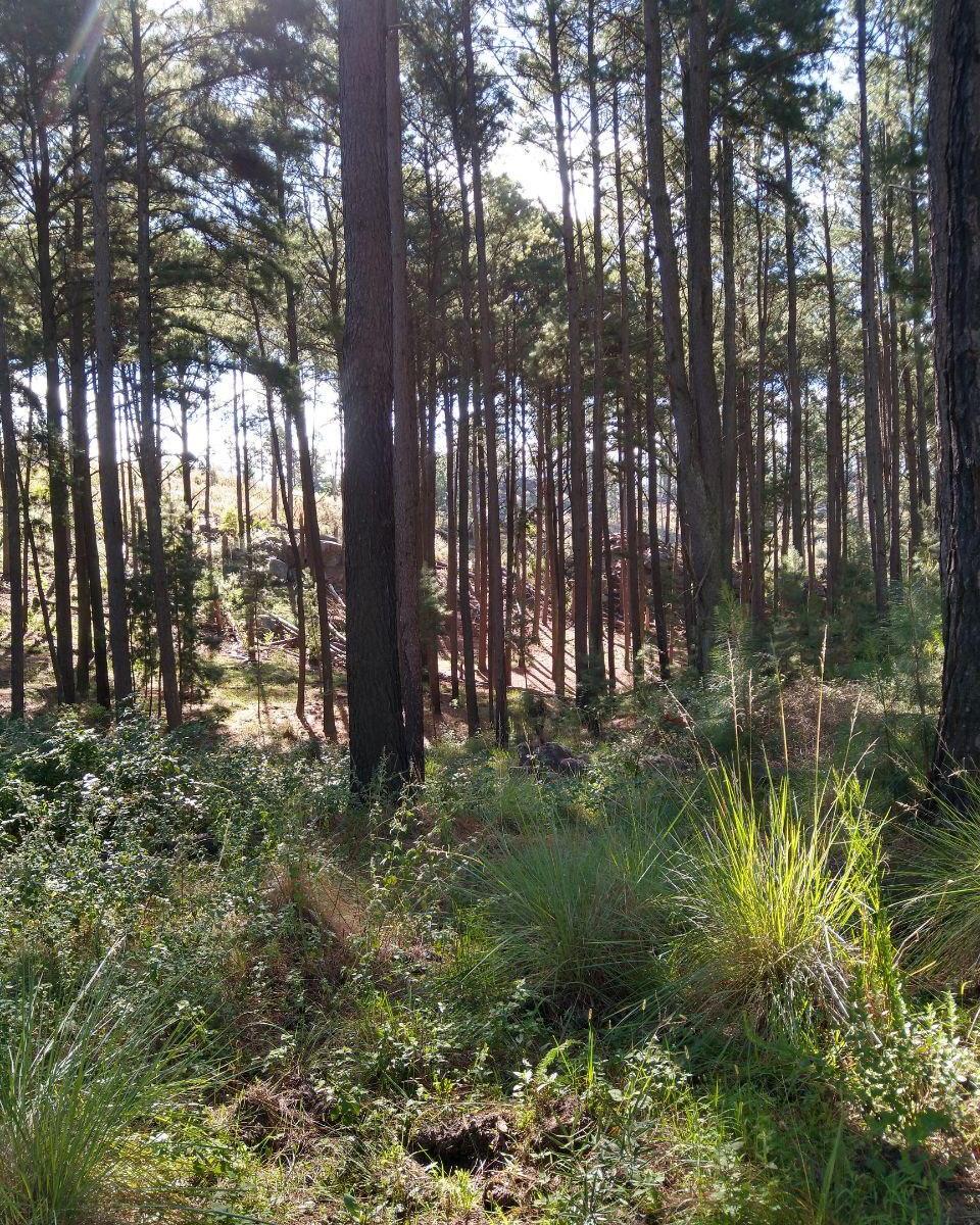 Retasado Campo de Montaña con 400 + m Costa de Río, en San Miguel de Los Ríos 3
