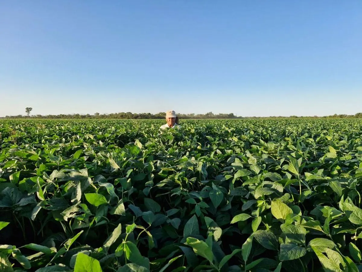 VENDO Estancia Agrícola 3580 ha. Premium en Quimili, Santiago del Estero 5