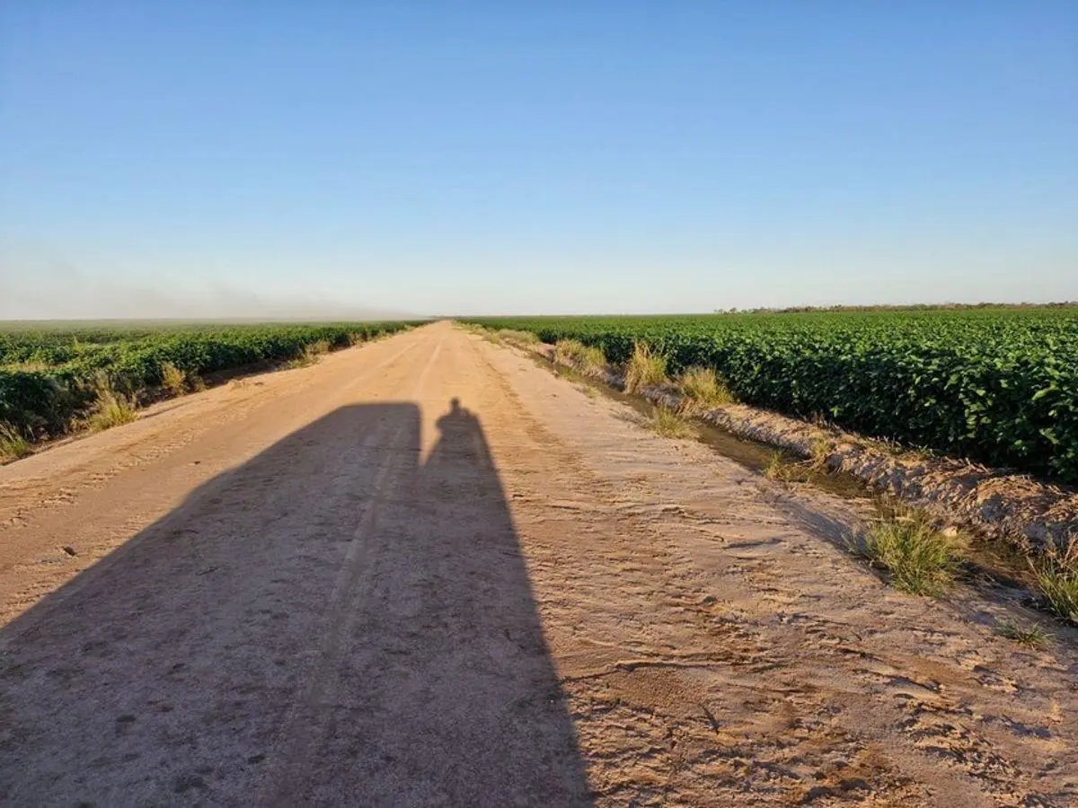 VENDO Estancia Agrícola 3580 ha. Premium en Quimili, Santiago del Estero 3