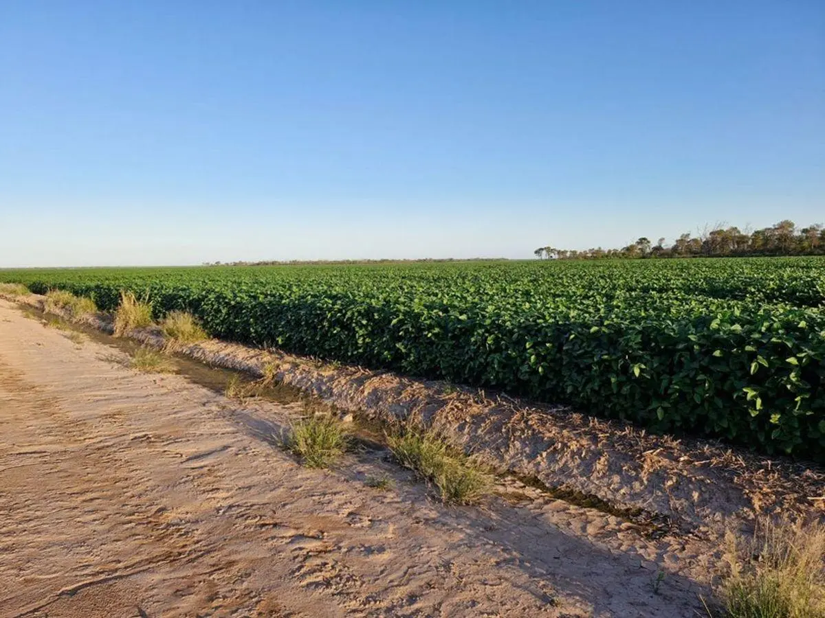 VENDO Estancia Agrícola 3580 ha. Premium en Quimili, Santiago del Estero 2