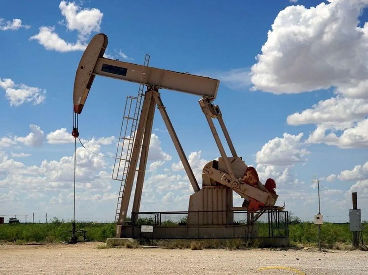 VENDO Establecimiento rural Zona estratégica cuenca petrolera NEUQUEN 2