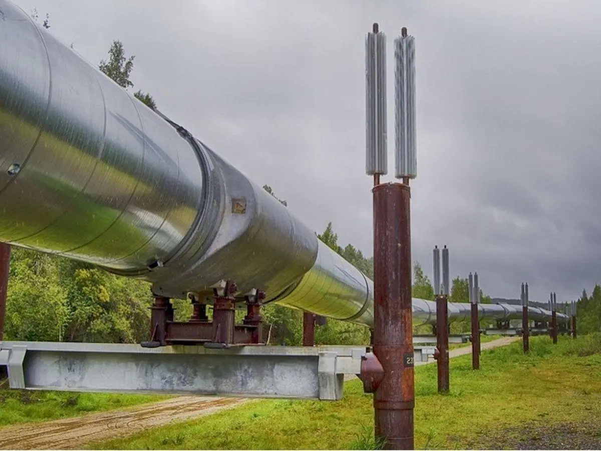 VENDO Establecimiento rural Zona estratégica cuenca petrolera NEUQUEN 3