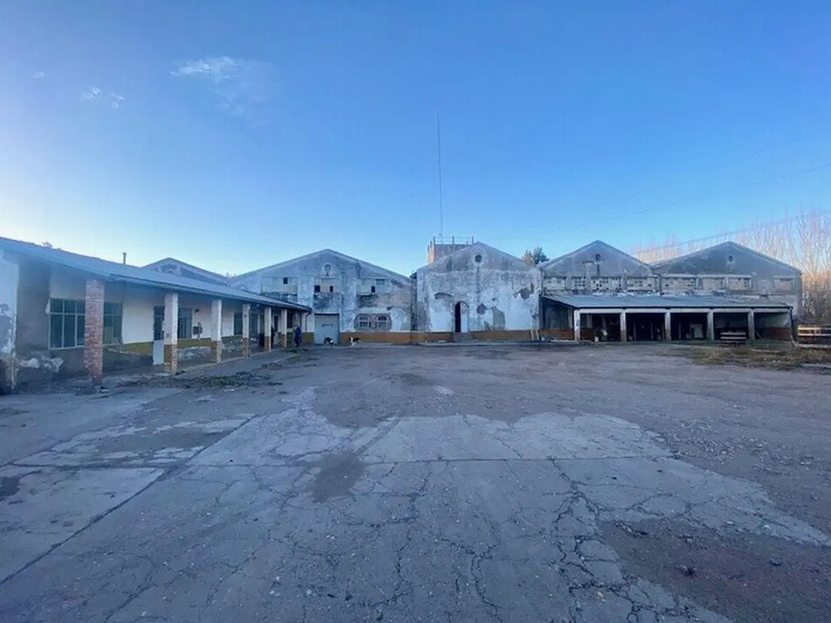 Bodega premium en Mendoza, viñedos varietales finos, pistachos, almendros y nogales en producción 5