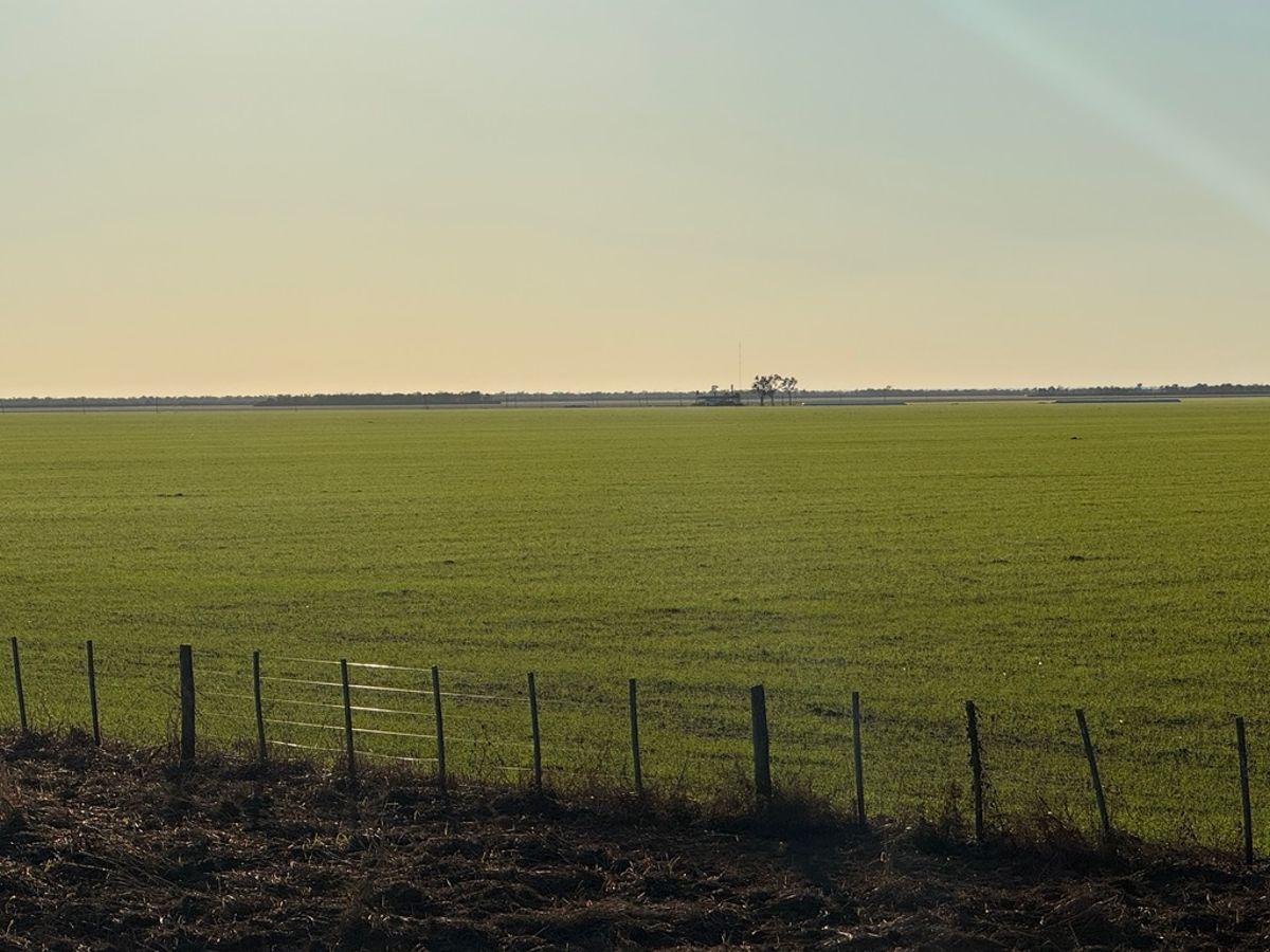 Foto de VENDO: Campo agrícola de alta escala en RP6, Santiago del Estero, 5.740 ha con infraestructura, imagen 3