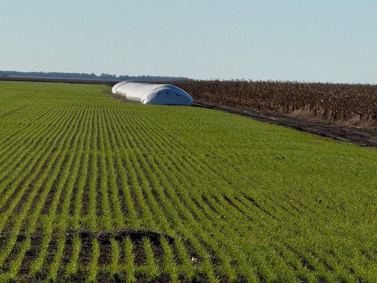 Foto de VENDO: Campo agrícola de alta escala en RP6, Santiago del Estero, 5.740 ha con infraestructura, imagen 5