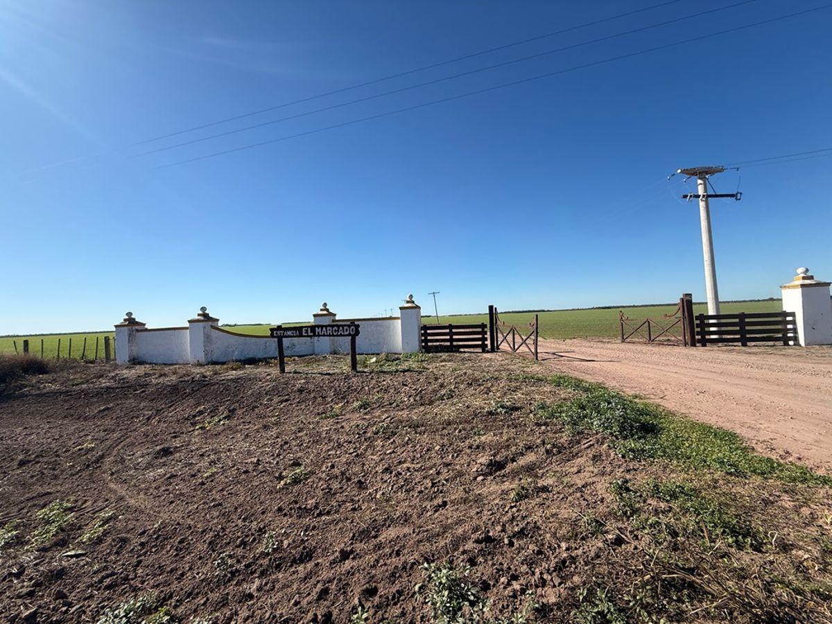 Foto de VENDO: Campo agrícola de alta escala en RP6, Santiago del Estero, 5.740 ha con infraestructura, imagen 1