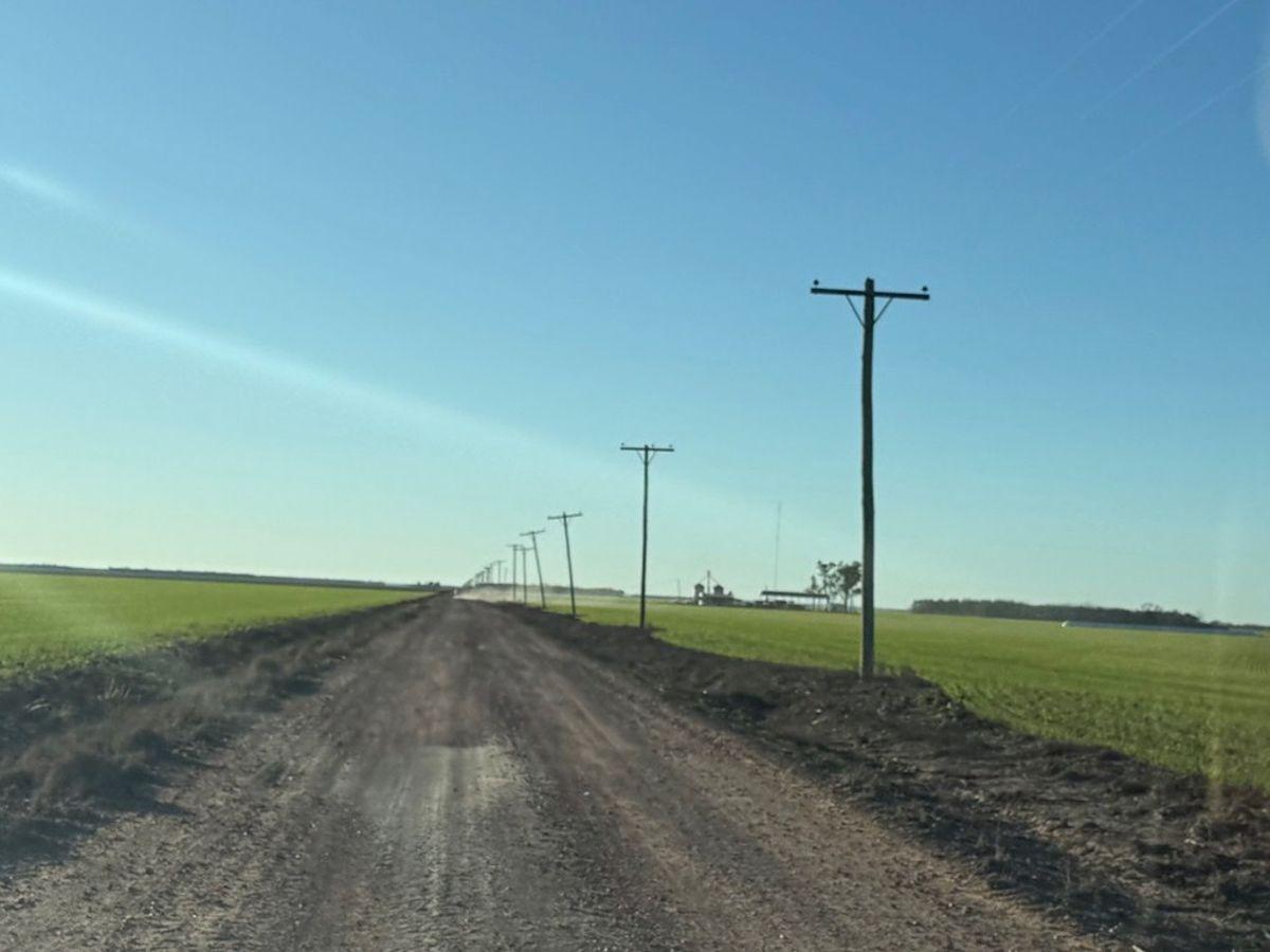 Foto de VENDO: Campo agrícola de alta escala en RP6, Santiago del Estero, 5.740 ha con infraestructura, imagen 4
