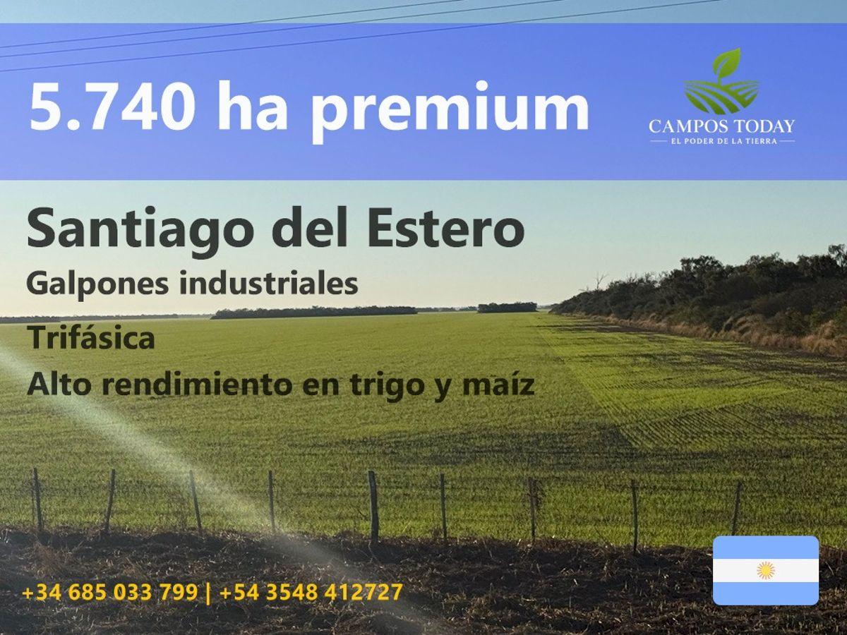 Foto de VENDO: Campo agrícola de alta escala en RP6, Santiago del Estero, 5.740 ha con infraestructura, imagen 2