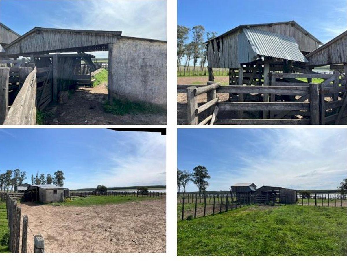 Foto de Vendo Campo mixto en Bonilla, Tacuarembó 2.205 ha infraestructura completa, imagen 2