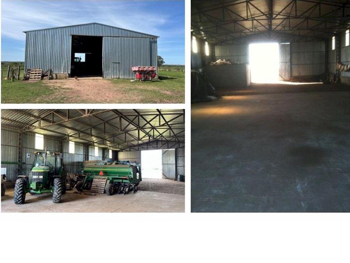 Foto de Vendo Campo mixto en Bonilla, Tacuarembó 2.205 ha infraestructura completa, imagen 5