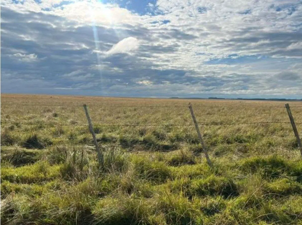Vendo Campo mixto en Cololó, Soriano 325 ha con infraestructura completa 4