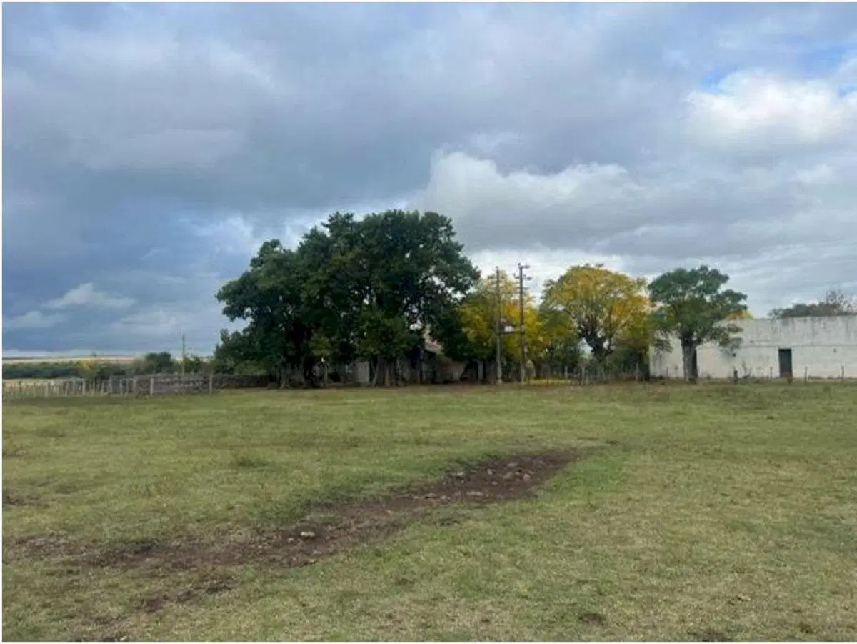 Vendo Campo mixto en Cololó, Soriano 325 ha con infraestructura completa 5